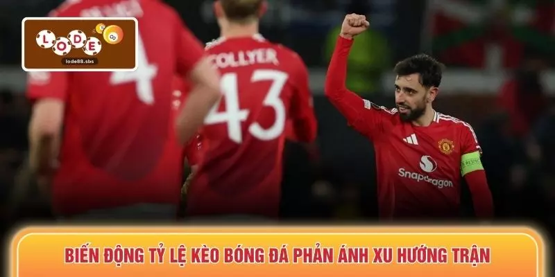 Biến động tỷ lệ kèo bóng đá phản ánh xu hướng trận