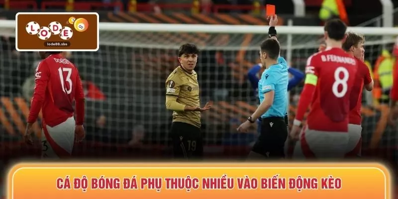 Cá độ bóng đá phụ thuộc nhiều vào biến động kèo