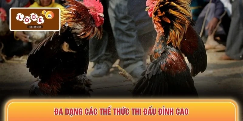 Đa dạng các thể thức thi đấu đỉnh cao