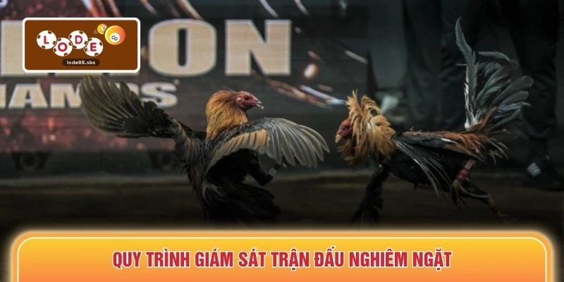Quy trình giám sát trận đấu nghiêm ngặt